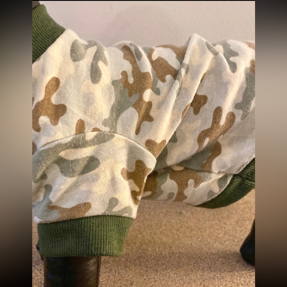 Dog Clothes - Picture 5 of 6